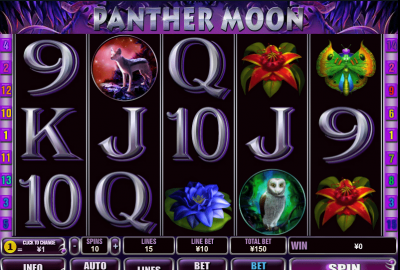 Panther Moon