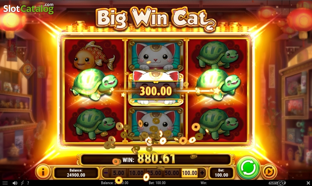 Big Win Cat video slot game screenshot
